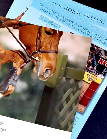 Idexx equine advertising deployment